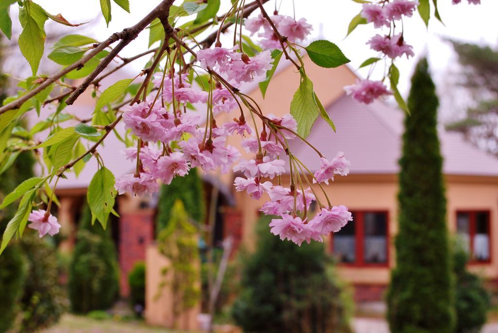 Aromatic Garden Villa La Poltrona Nasu Εξωτερικό φωτογραφία