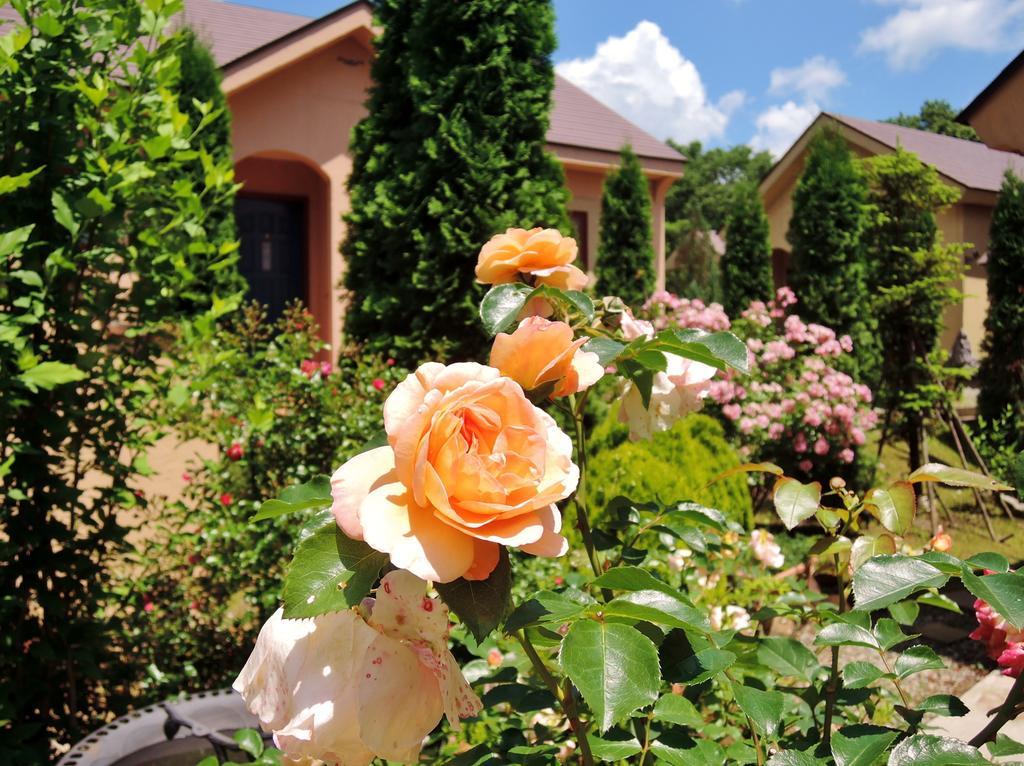 Aromatic Garden Villa La Poltrona Nasu Εξωτερικό φωτογραφία