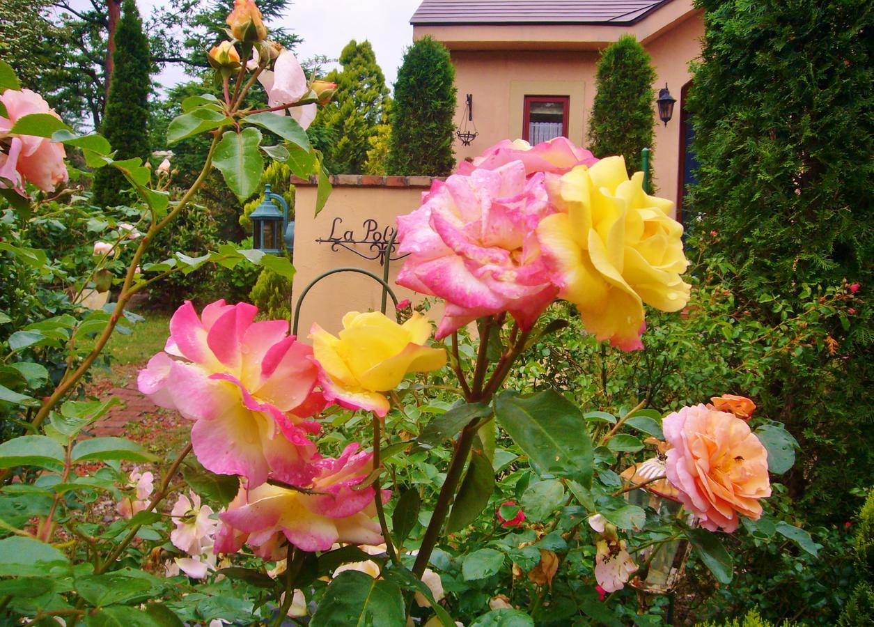 Aromatic Garden Villa La Poltrona Nasu Εξωτερικό φωτογραφία