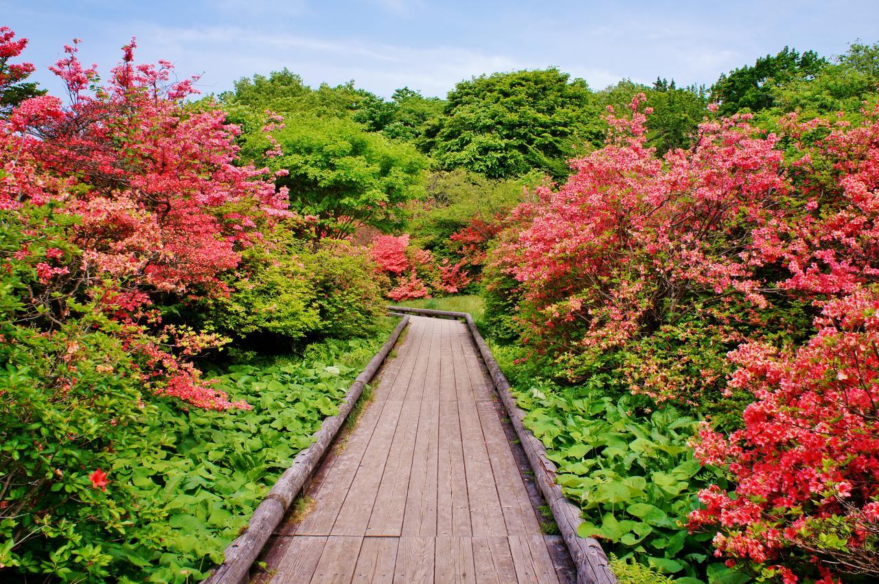 Aromatic Garden Villa La Poltrona Nasu Εξωτερικό φωτογραφία