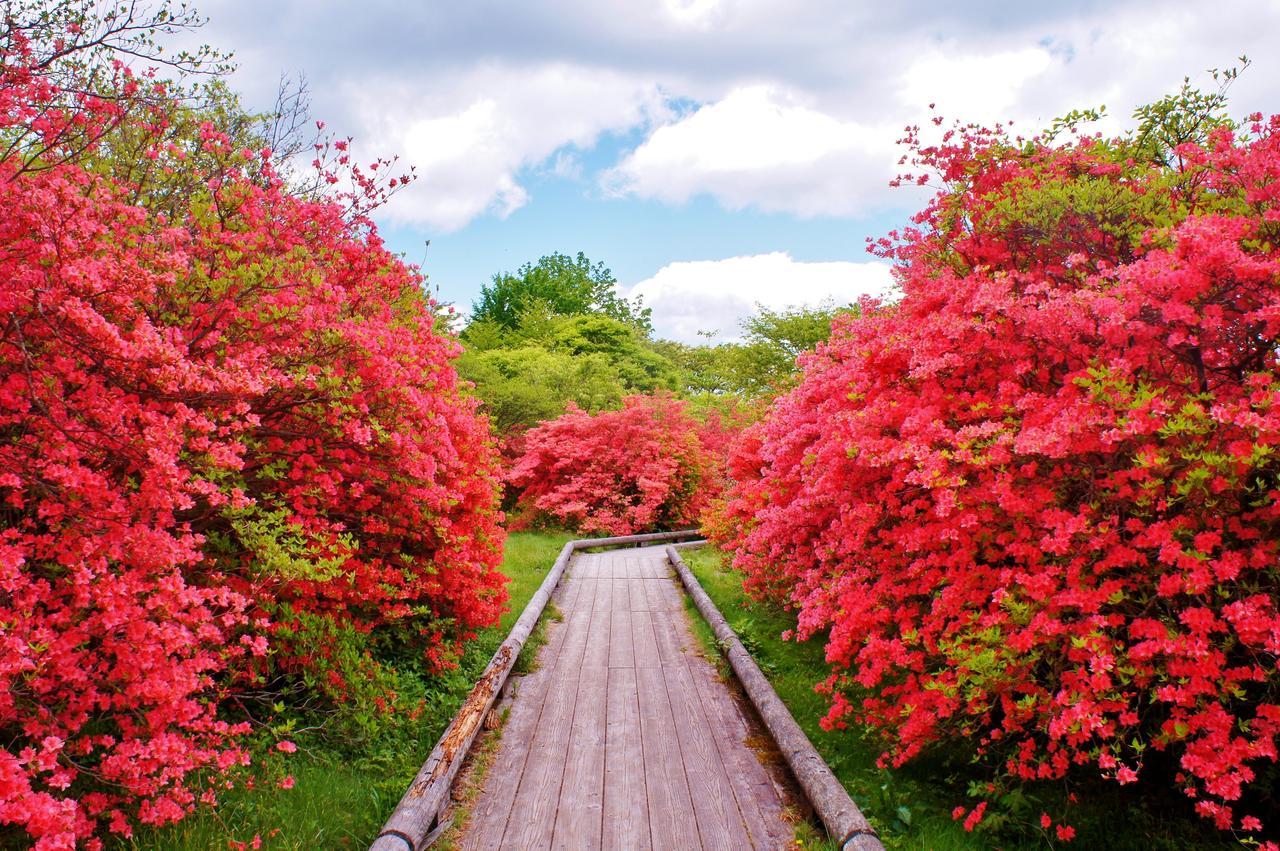 Aromatic Garden Villa La Poltrona Nasu Εξωτερικό φωτογραφία