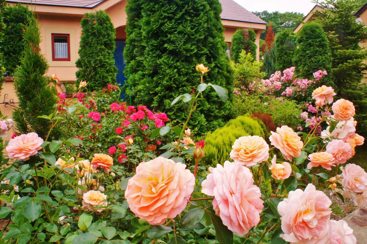 Aromatic Garden Villa La Poltrona Nasu Εξωτερικό φωτογραφία